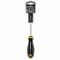 RUNTEC RT-SD1T20x100 Отвертка RUNTEC T20 x 100 мм S2-4004