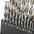 GARWIN INDUSTRIAL GM-BS19 Набор сверл 1.0-10.0 х 0,5 мм 19пр. HSS-G Spiralbohrer (Metall)-4004