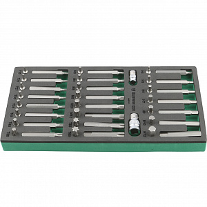 GARWIN PRO 646010 Набор бит 10 мм, Torx, Spline, Hex, 48 пр. в ложементе EVA