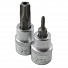 Licota ATF-4004(ATA-0360) Набор 5-ти конечных звезд на головках 3/8" 9 пр.-4004