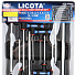 Licota ACK-382002 Набор ключей Т-образных шестигранных H2 - H12 с пластиковой рукояткой в ложементе, 10 пр.-4004