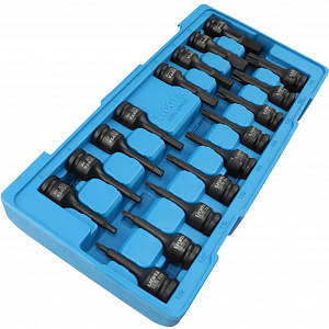 Licota ACK-B3013 Набор ударных головок 1/2": 6 гр., торкс, 17 пр., в ложементе-кейсе