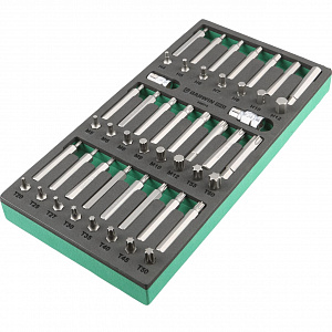 GARWIN PRO 646010 Набор бит 10 мм, Torx, Spline, Hex, 48 пр. в ложементе EVA