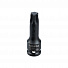 Licota A3MDT55 Головка торцевая, 3/8", TORX, T55, ударный-4004