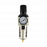 GARWIN PRO 807640-20-14-Р Фильтр для воздуха с регулятором давления 1/4" (5 микрон)-4004