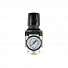GARWIN PRO 807640-25-14-Р Регулятор давления с манометром 1/4"-4004