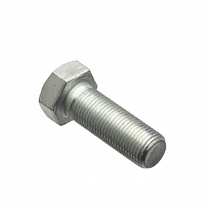 GARWIN PRO 00001-0013915-219 Болт 16х1.5х45х38