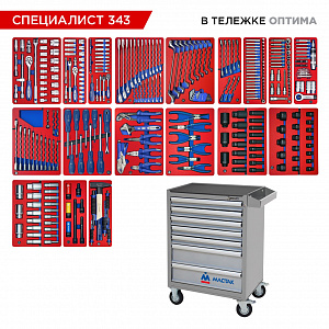 Набор инструментов 343 предмета, "СПЕЦИАЛИСТ 343", в серой тележке МАСТАК 52-07343G
