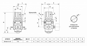 GARWIN PRO 807640-25-14-Р Регулятор давления с манометром 1/4"