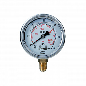 GARWIN PRO A85650-600 Манометр гидравлический 0-600 атм 63 мм G1/4 глицериновый для наборов серии A85