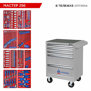 Набор инструментов 256 предметов, "МАСТЕР 256", в серой тележке МАСТАК 52-05256G