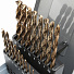 GARWIN INDUSTRIAL GM-BS19C Набор сверл 1.0-10.0 х 0,5 мм 19пр. HSS-CO Spiralbohrer (Metall)-4004