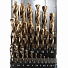 GARWIN INDUSTRIAL GM-BS25C Набор сверл 1.0-13.0 х 0,5 мм 25пр. HSS-CO Spiralbohrer (Metall)-4004