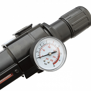 GARWIN INDUSTRIAL 807670-14-5-P Фильтр для воздуха с регулятором давления 1/4" (5 микрон), усиленный - макс. давление 16 бар