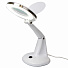 GARWIN PRO GL-WL01 Увеличительное стекло с подсветкой-4004